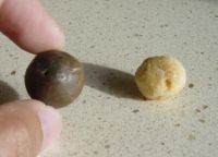 Nuci macadamia